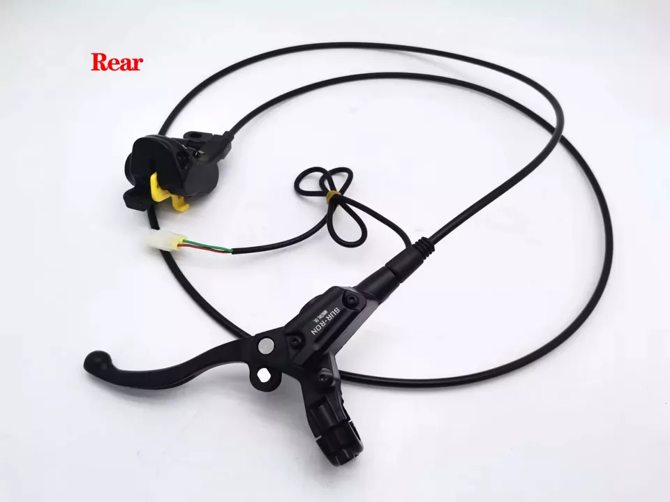 Rear Hydraulic Disc Brake System